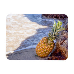 Pineapple Leaning on Rocks at the Beach Magnet