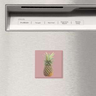 Pineapple Magnet