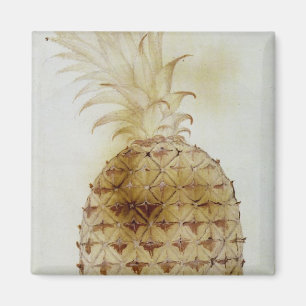 Pineapple Magnet