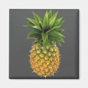 Pineapple Magnet