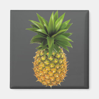 Pineapple Magnet