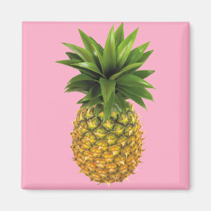 Pineapple Magnet