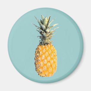pineapple magnet