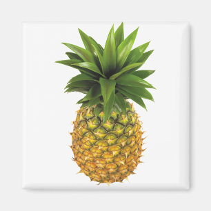 Pineapple Magnet