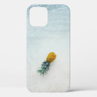 Pineapple on seashore