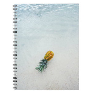 Pineapple on seashore notebook