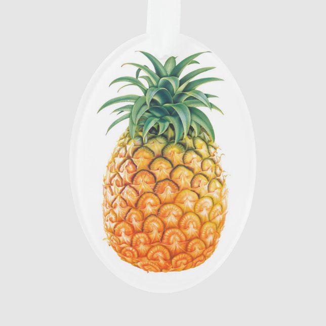Pineapple Ornament (Back)