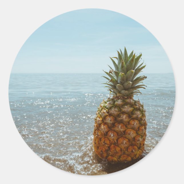 Pineapple Paradise Classic Round Sticker (Front)