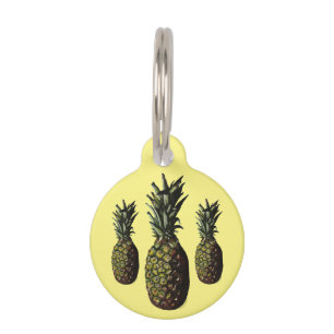 Pineapple Round Pet Tag