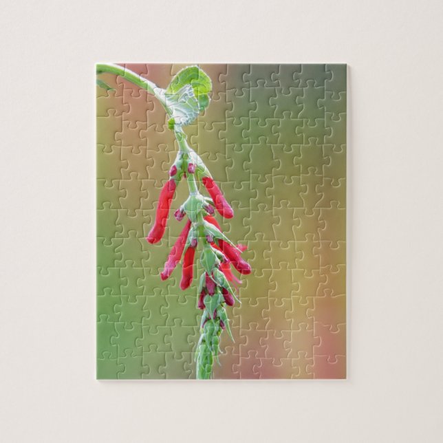 Pineapple Sage Bloom Jigsaw Puzzle (Vertical)