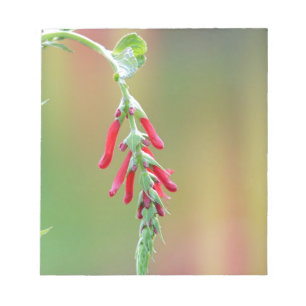 Pineapple Sage Bloom Notepad