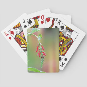 Pineapple Sage Bloom Playing Cards