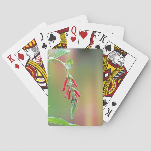 Pineapple Sage Bloom Playing Cards (Back)