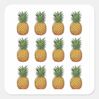 Pineapple square sticker