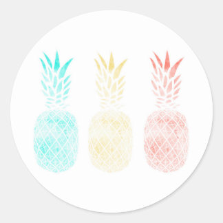 Pineapple Stickers, Tropical Gift, Pineapple Art Classic Round Sticker