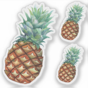 Pineapple Tropical fruits & leaf watercolor paint