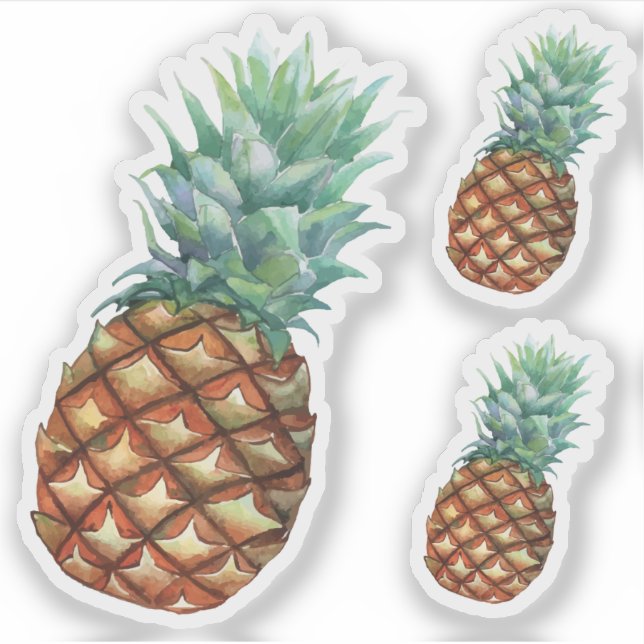 Pineapple Tropical fruits & leaf watercolor paint (Front)