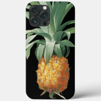 Pineapple Vintage Tropical Botanical