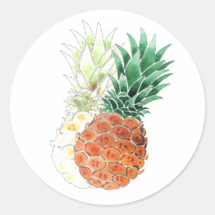 Pineapple, watercolor . classic round sticker