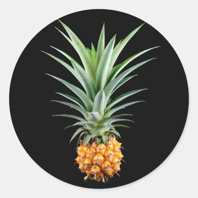 Pineapple with big hairdo on black background classic round sticker (Front)