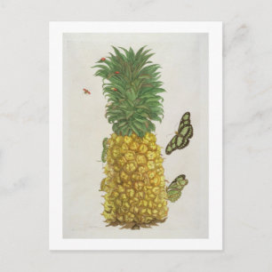 Pineapple with caterpillar and butterflies (hand-c postcard