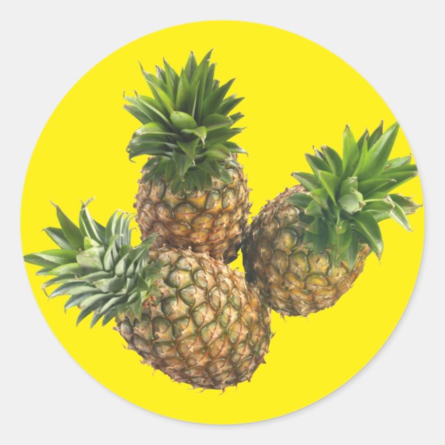 Pineapples Classic Round Sticker (Front)