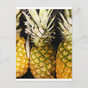 Pineapples for Sale Postcard