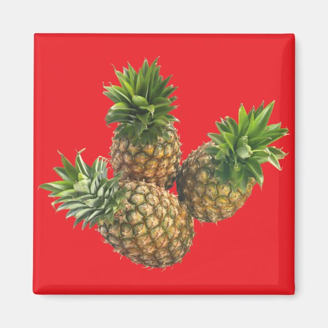 Pineapples Magnet (Front)