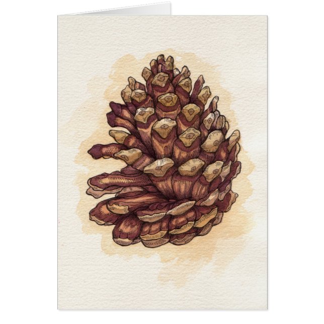 Pinecone (Front)