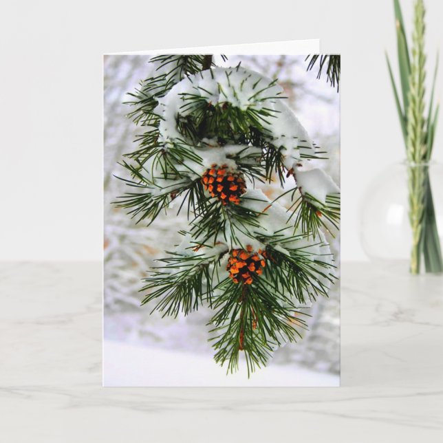 PineCone BranchHD Holiday Card (Front)