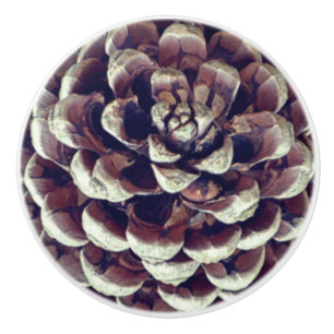 Pinecone Ceramic Knob