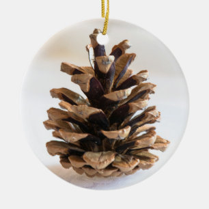 Pinecone Ceramic Ornament