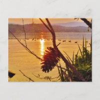 Pinecone Lake sunset