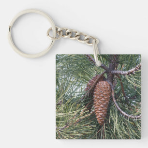 Pinecone on the pine tree key ring