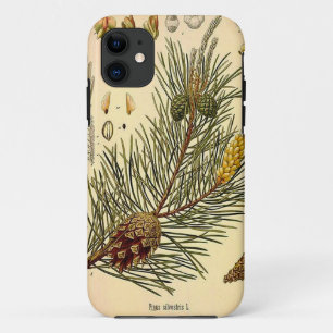 Pinecone Pine Tree Vintage Botanical Print iPhone 11 Case