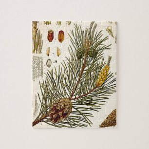 Pinecone Pine Tree Vintage Botanical Print Jigsaw Puzzle