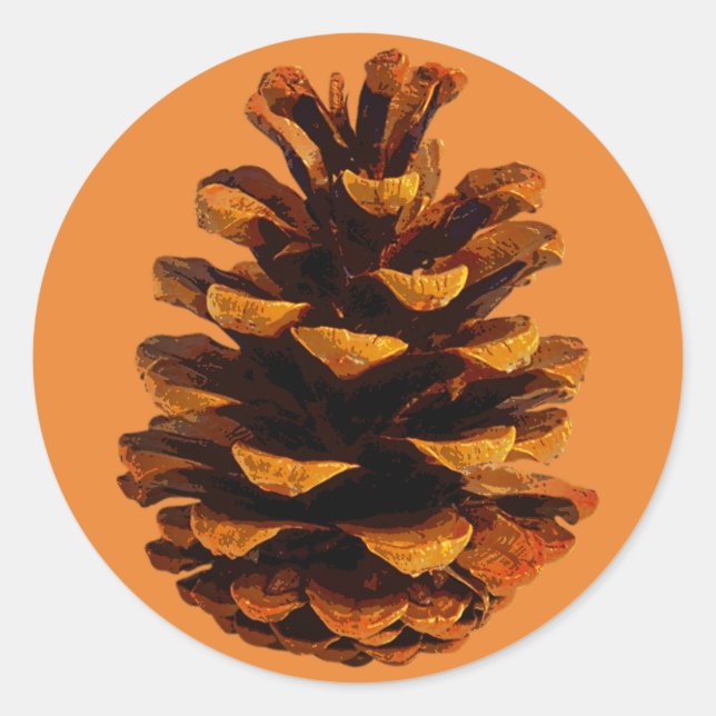 Pinecone rustic nature fall autumn  classic round sticker (Front)
