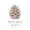 Pinecone Stickers