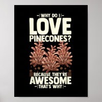 Pinecone Tree Funny Plant Mountain Forest