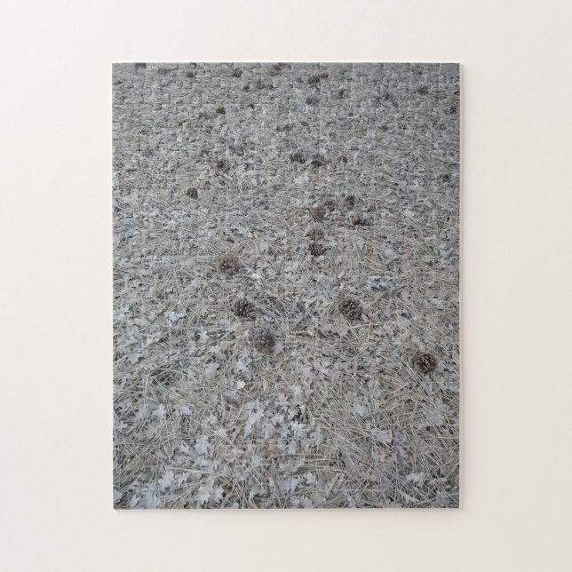 pinecones jigsaw puzzle (Vertical)