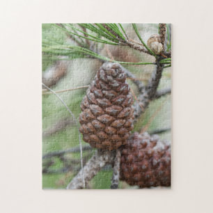 Pinecones Jigsaw Puzzle
