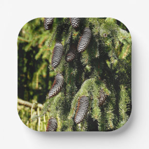 Pinecones Paper Plate