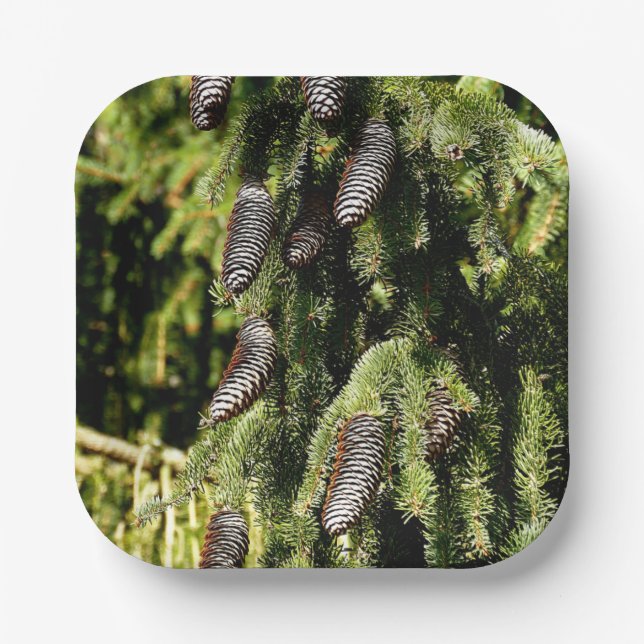 Pinecones Paper Plate (Front)