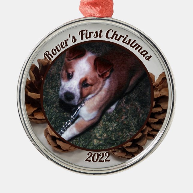 Pinecones Pet's First Christmas Photo with Year Metal Ornament (Front)