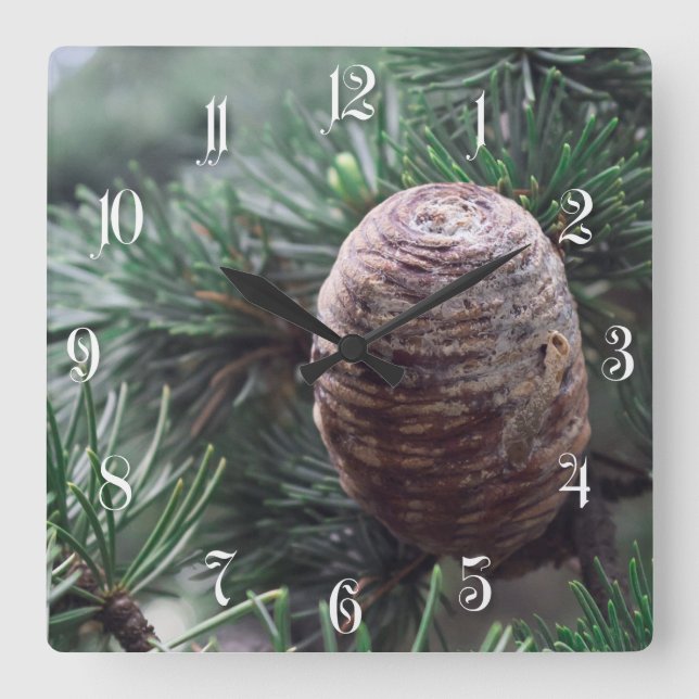 Pinecones Square Wall Clock (Front)