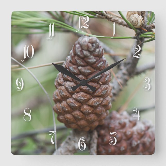 Pinecones Square Wall Clock (Front)