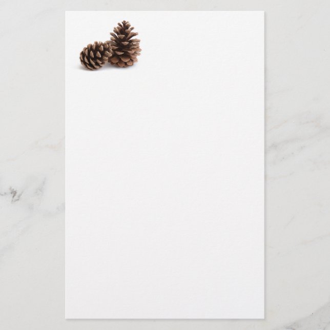 Pinecones Stationery (Front)