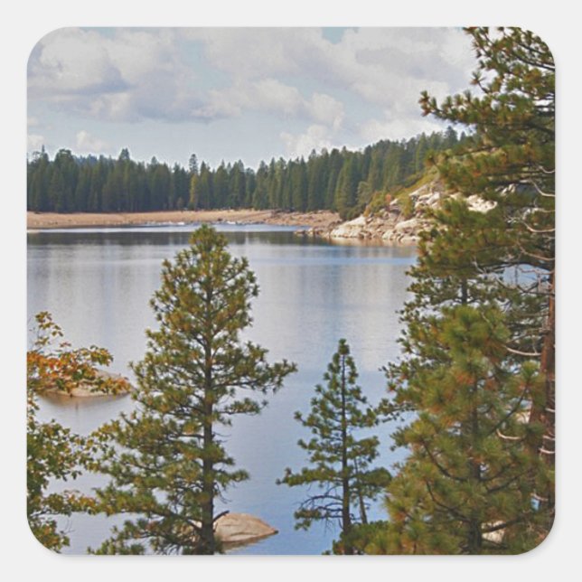Pinecrest Lake California in August Square Sticker (Front)