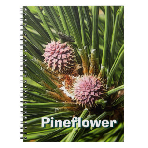 Pineflower Notebook