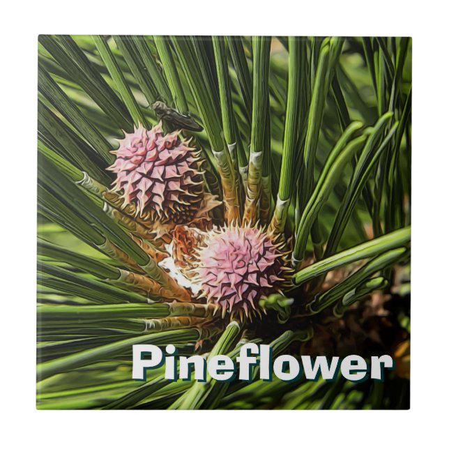 Pineflower Tile (Front)